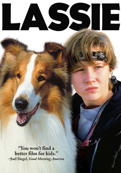 Lassie 1994 Dvd Buy Online In South Africa 